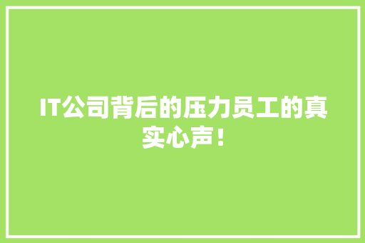 IT公司背后的压力员工的真实心声！ 神马SEO