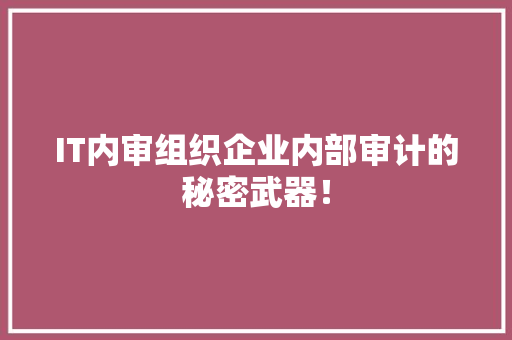 IT内审组织企业内部审计的秘密武器！ SEO关键词