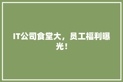IT公司食堂大，员工福利曝光！ 神马SEO