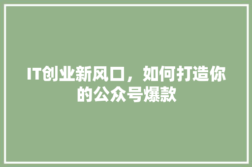 IT创业新风口，如何打造你的公众号爆款 必应SEO