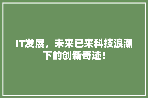 IT发展，未来已来科技浪潮下的创新奇迹！ 网站建设公司