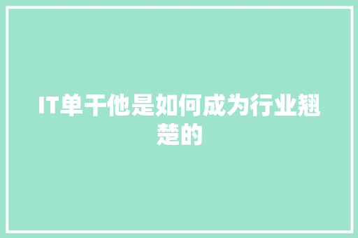 IT单干他是如何成为行业翘楚的