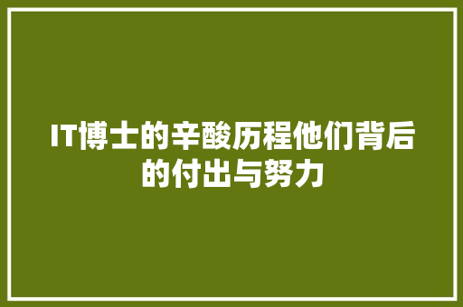 IT博士的辛酸历程他们背后的付出与努力
