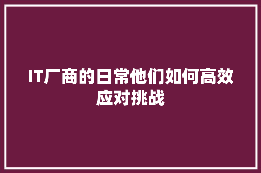 IT厂商的日常他们如何高效应对挑战