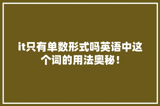 it只有单数形式吗英语中这个词的用法奥秘！
