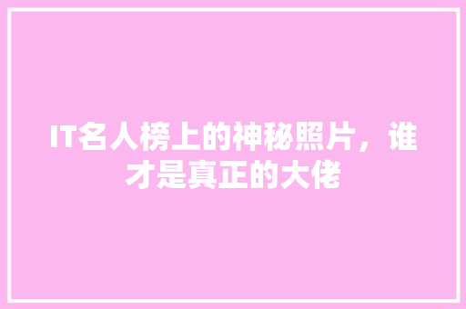 IT名人榜上的神秘照片，谁才是真正的大佬 百度SEO