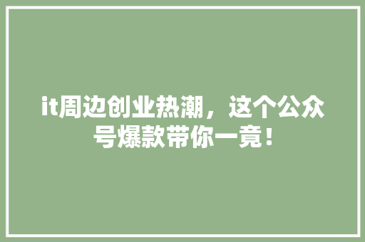 it周边创业热潮，这个公众号爆款带你一竟！