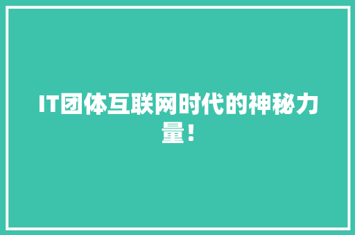 IT团体互联网时代的神秘力量！