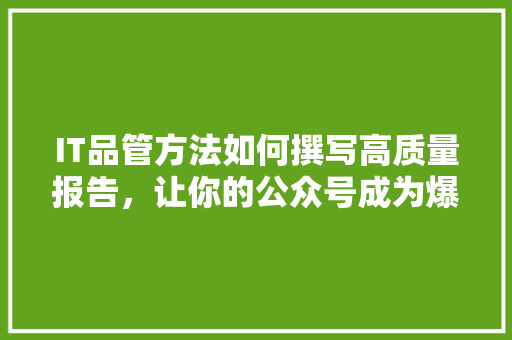 IT品管方法如何撰写高质量报告，让你的公众号成为爆款！ 必应SEO