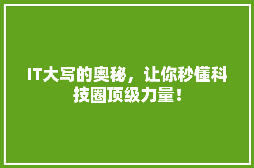 IT大写的奥秘，让你秒懂科技圈顶级力量！
