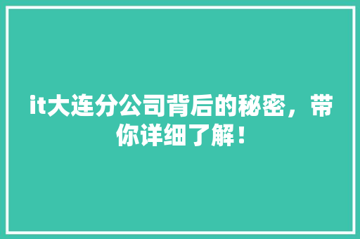 it大连分公司背后的秘密，带你详细了解！