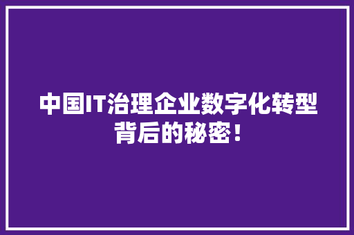 中国IT治理企业数字化转型背后的秘密！ 必应SEO