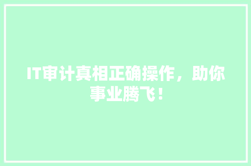 IT审计真相正确操作，助你事业腾飞！