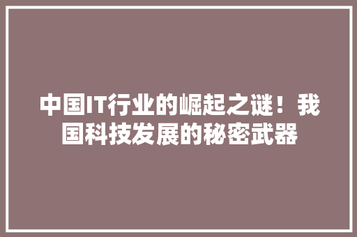 中国IT行业的崛起之谜！我国科技发展的秘密武器