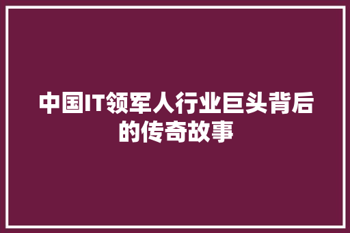 中国IT领军人行业巨头背后的传奇故事