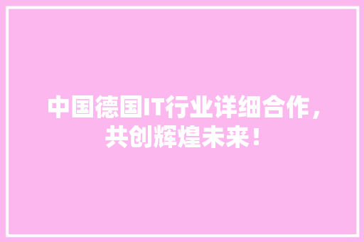 中国德国IT行业详细合作，共创辉煌未来！ 网站建设公司