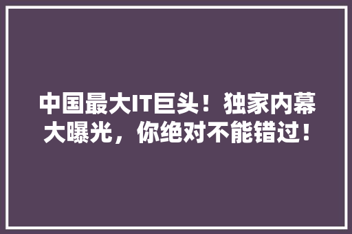 中国最大IT巨头！独家内幕大曝光，你绝对不能错过！