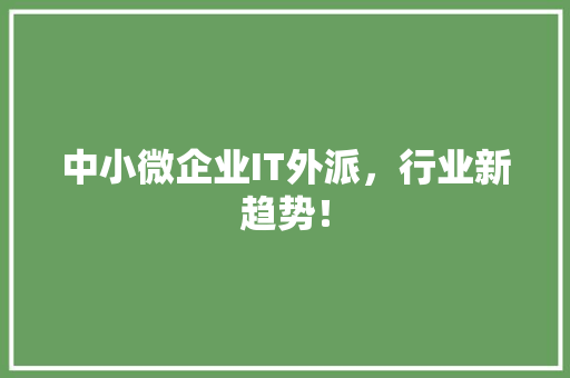 中小微企业IT外派，行业新趋势！