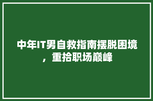 中年IT男自救指南摆脱困境，重拾职场巅峰