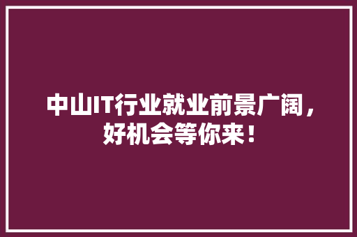 中山IT行业就业前景广阔，好机会等你来！
