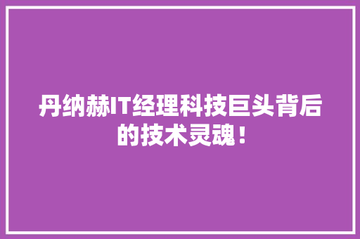 丹纳赫IT经理科技巨头背后的技术灵魂！