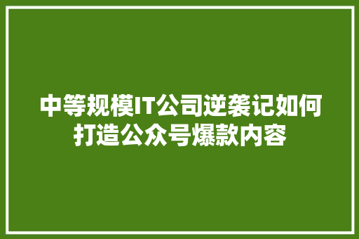 中等规模IT公司逆袭记如何打造公众号爆款内容