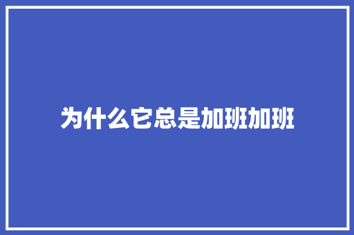 为什么它总是加班加班