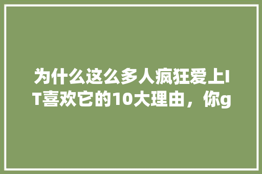为什么这么多人疯狂爱上IT喜欢它的10大理由，你get了吗 必应SEO