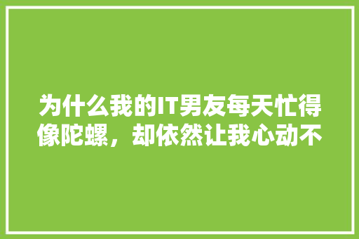为什么我的IT男友每天忙得像陀螺，却依然让我心动不已！