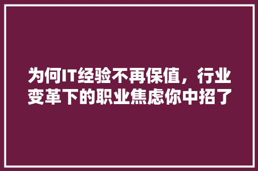 为何IT经验不再保值，行业变革下的职业焦虑你中招了吗