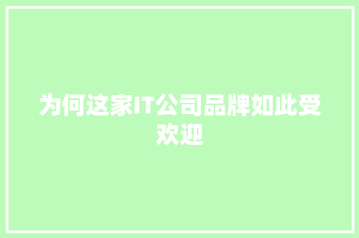 为何这家IT公司品牌如此受欢迎 SEO关键词