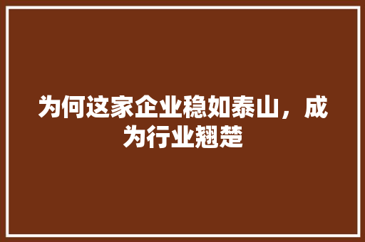 为何这家企业稳如泰山，成为行业翘楚