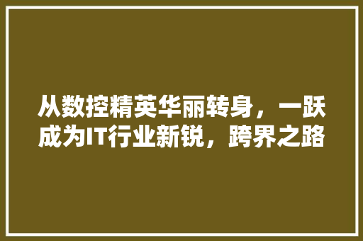 从数控精英华丽转身，一跃成为IT行业新锐，跨界之路！