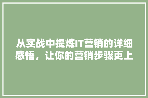 从实战中提炼IT营销的详细感悟，让你的营销步骤更上一层楼！