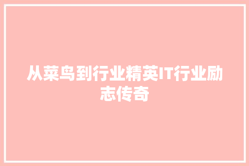 从菜鸟到行业精英IT行业励志传奇