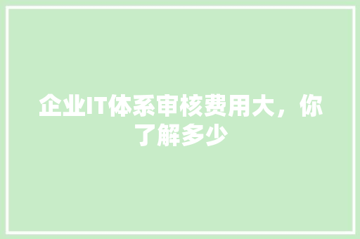企业IT体系审核费用大，你了解多少