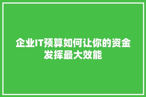 企业IT预算如何让你的资金发挥最大效能 百度SEO