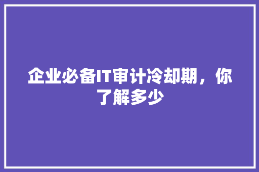企业必备IT审计冷却期，你了解多少 必应SEO