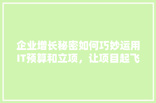 企业增长秘密如何巧妙运用IT预算和立项，让项目起飞！