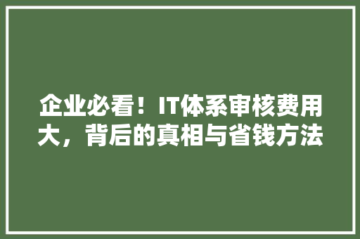 企业必看！IT体系审核费用大，背后的真相与省钱方法
