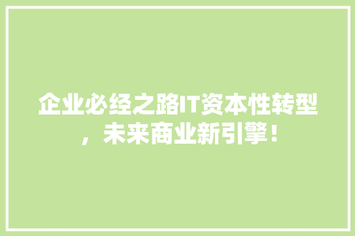 企业必经之路IT资本性转型，未来商业新引擎！ 神马SEO