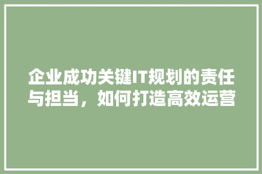 企业成功关键IT规划的责任与担当，如何打造高效运营！