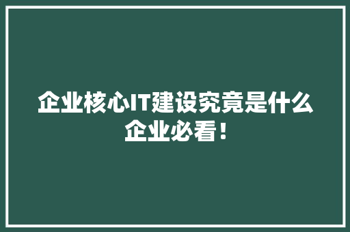 企业核心IT建设究竟是什么企业必看！ 必应SEO