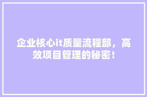 企业核心it质量流程部，高效项目管理的秘密！