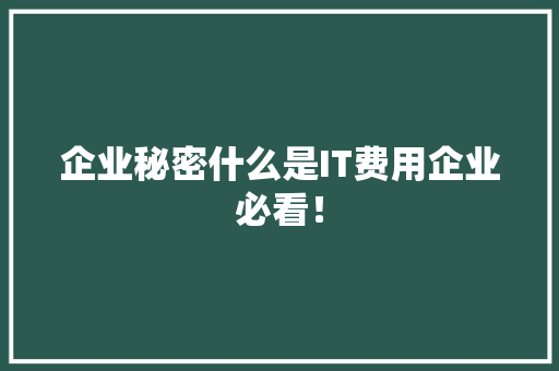 企业秘密什么是IT费用企业必看！