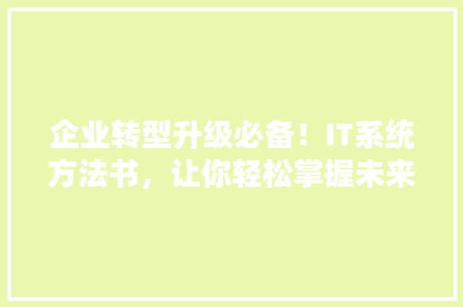 企业转型升级必备！IT系统方法书，让你轻松掌握未来科技！ 网站建设公司