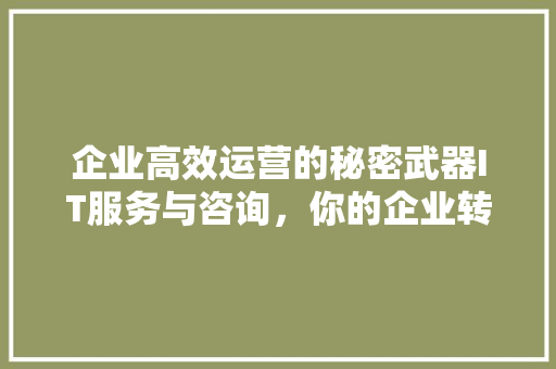 企业高效运营的秘密武器IT服务与咨询，你的企业转型加速器！ 搜狗SEO