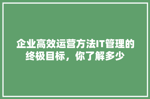 企业高效运营方法IT管理的终极目标，你了解多少