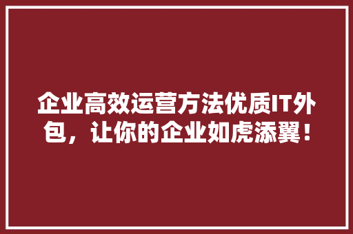 企业高效运营方法优质IT外包，让你的企业如虎添翼！