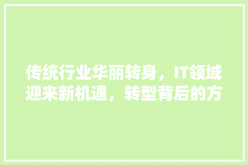 传统行业华丽转身，IT领域迎来新机遇，转型背后的方法！